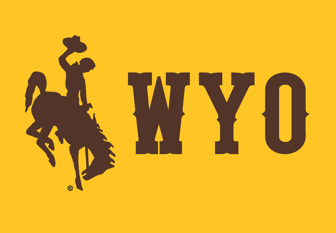 Wyoming Cowboys 2013-Pres Alternate Logo 03 vinyl decal